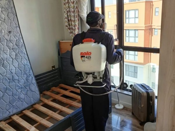 Pest Control Treatment